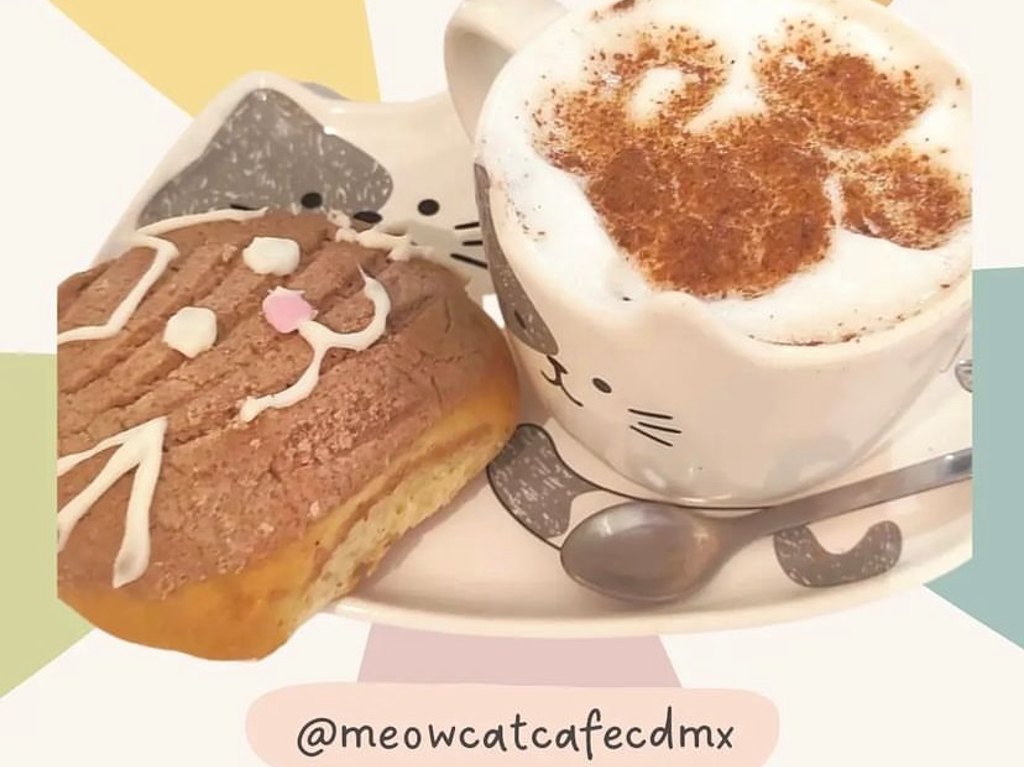 meow-cat-cafe-cdmx