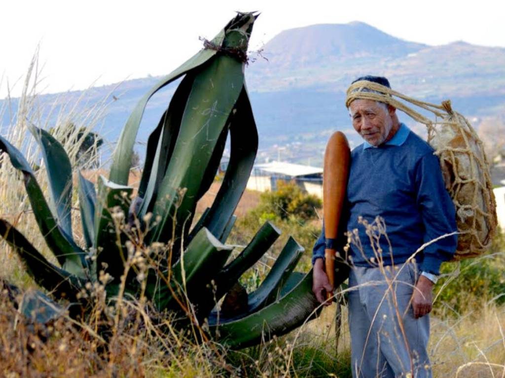 Milpa Bus: conoce la ruta del pulque en Milpa Alta