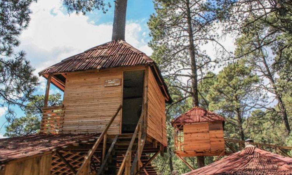 pachamama