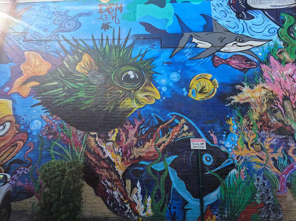 pineapplegrove24horasendelraybeachelmejorsecretodelsurde