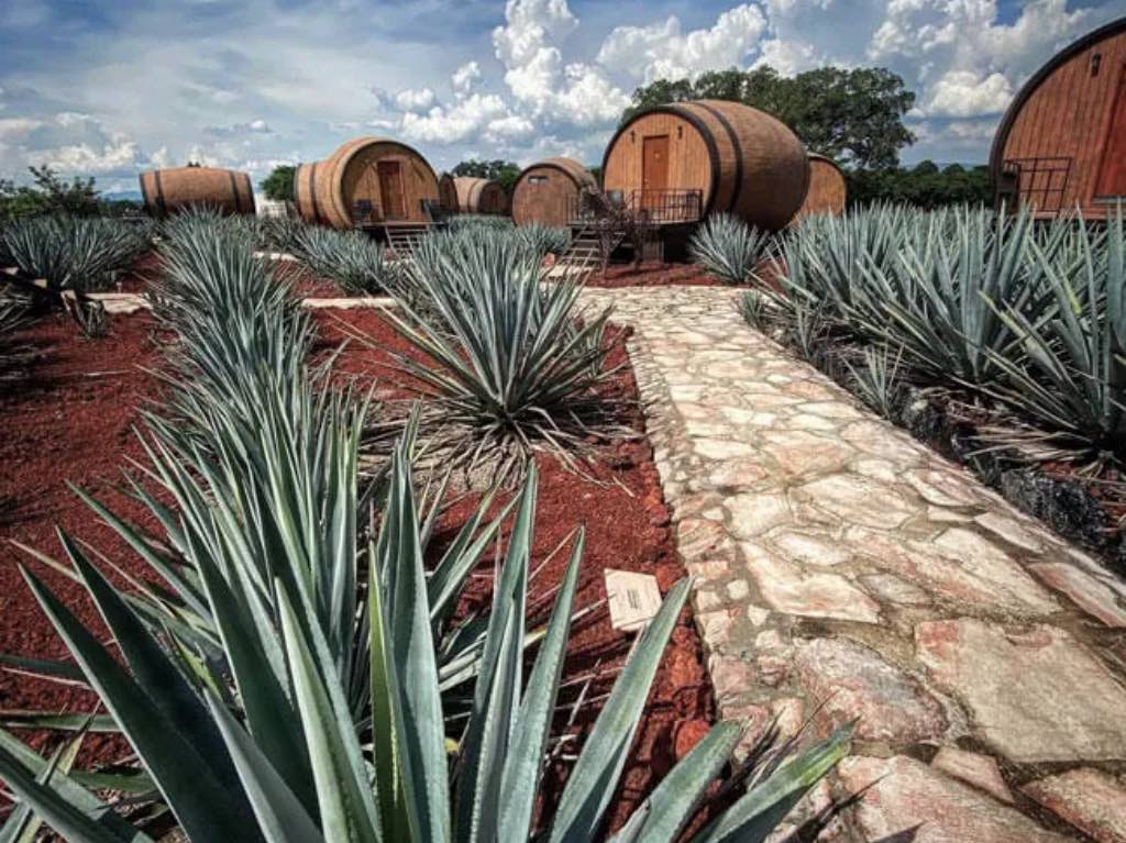 tequila-jalisco