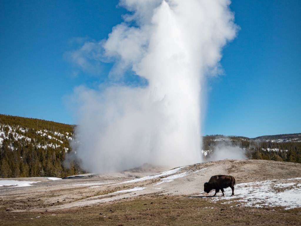 actividades-para-conocer-jackson-hole