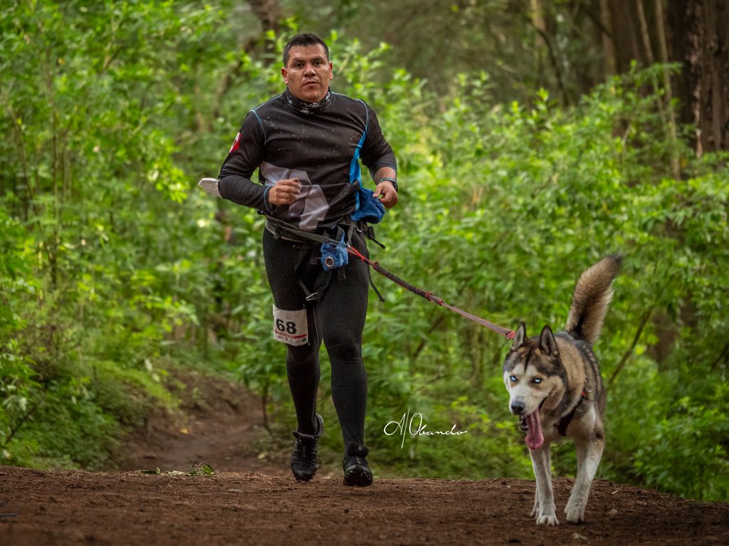 dog-running-color-cdmx