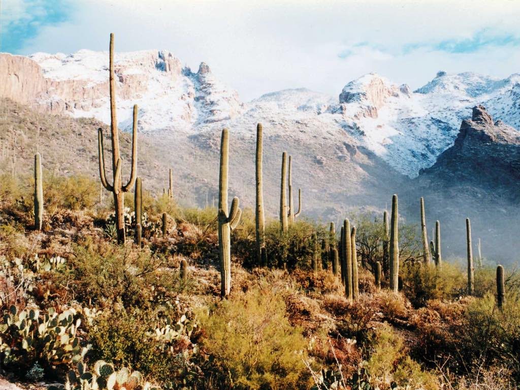 estrellas-de-arizona