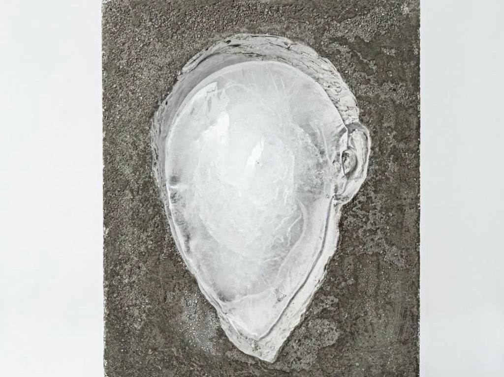 exposiciones-noviembre-museo-tamayo
