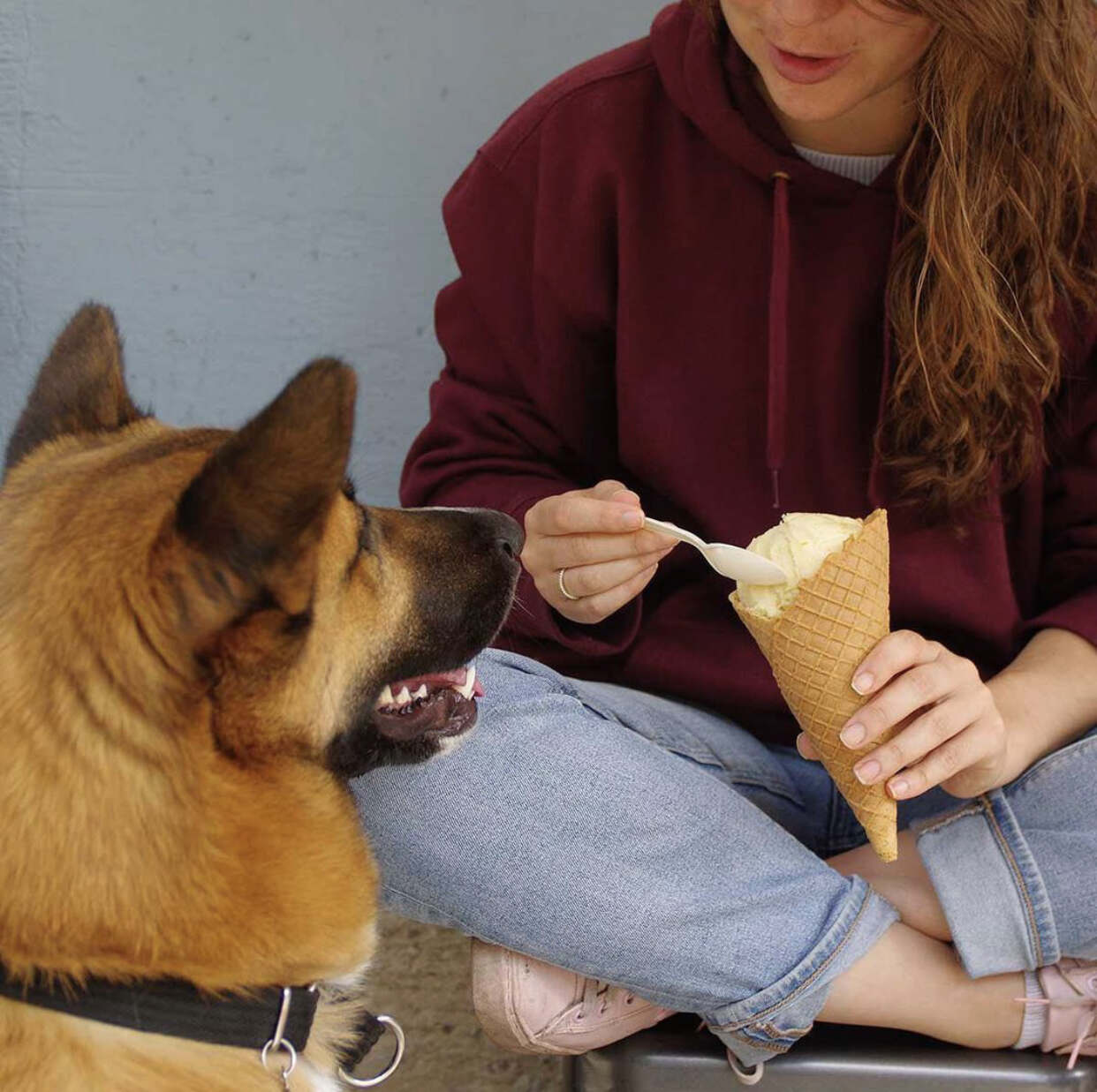 Helado Bonito: la heladería boutique con deliciosos helados artesanales en la Roma 5