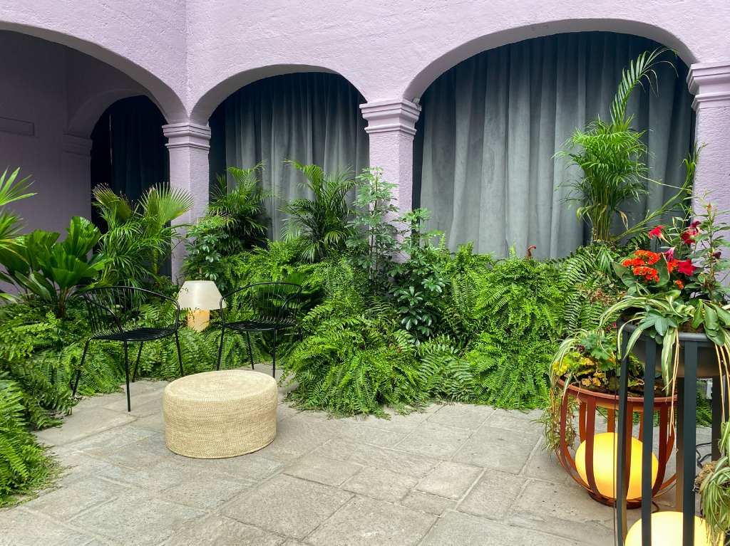 maison-diez-company-2022-exposicion-gratuita-cdmx