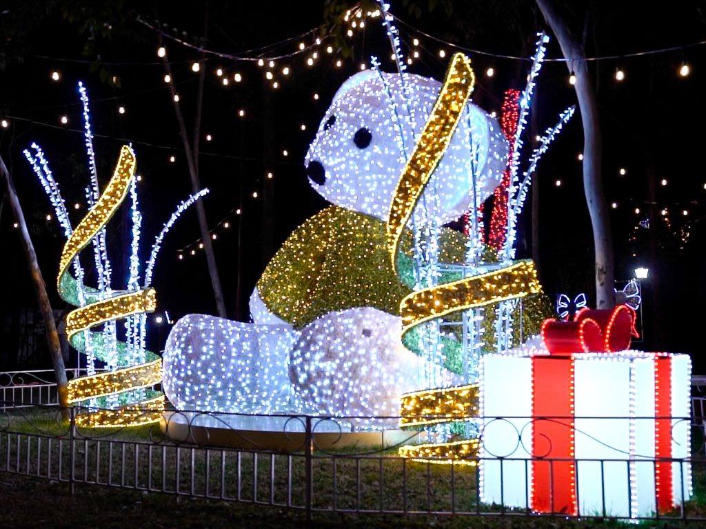 Brilla, una navidad en el bosque