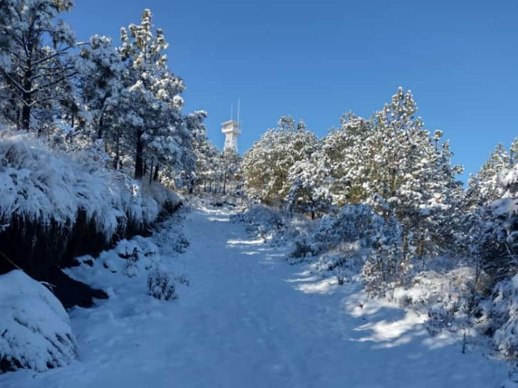 Caída de aguanieve en CDMX: ¿Cómo será el clima de esta semana?