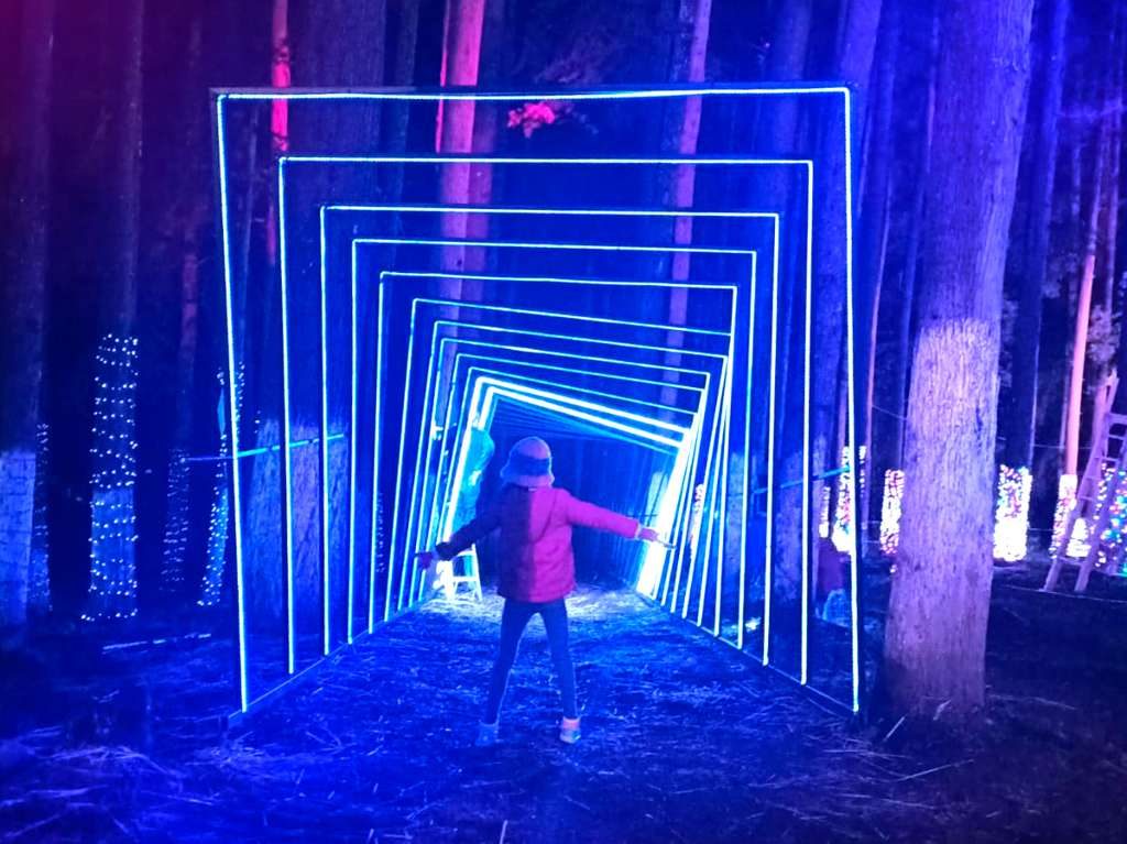 Naviland 2022: una experiencia en un bosque navideño de Real del Monte 