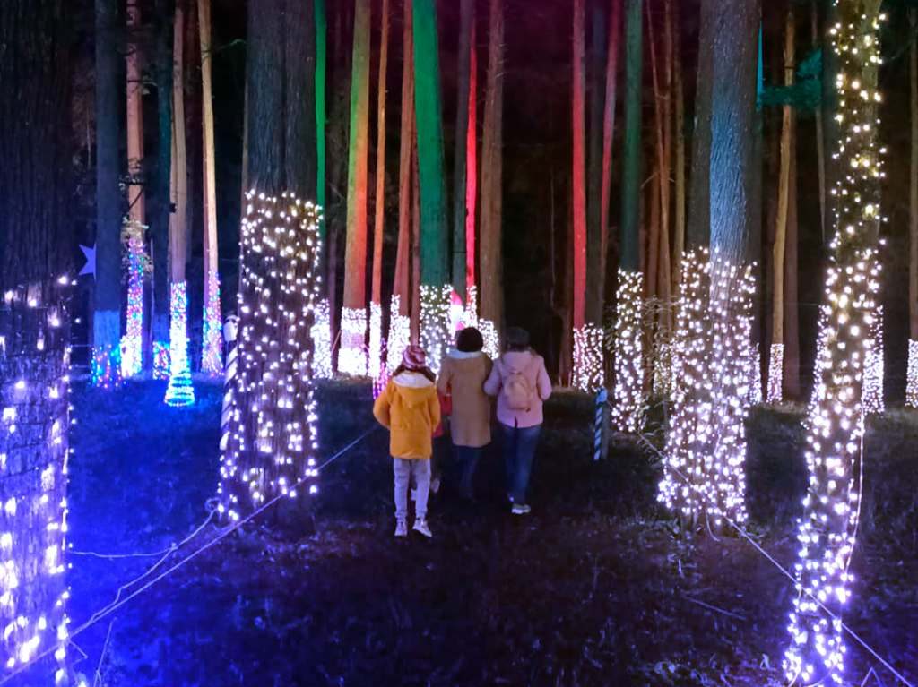 Naviland 2022: una experiencia en un bosque navideño de Real del Monte