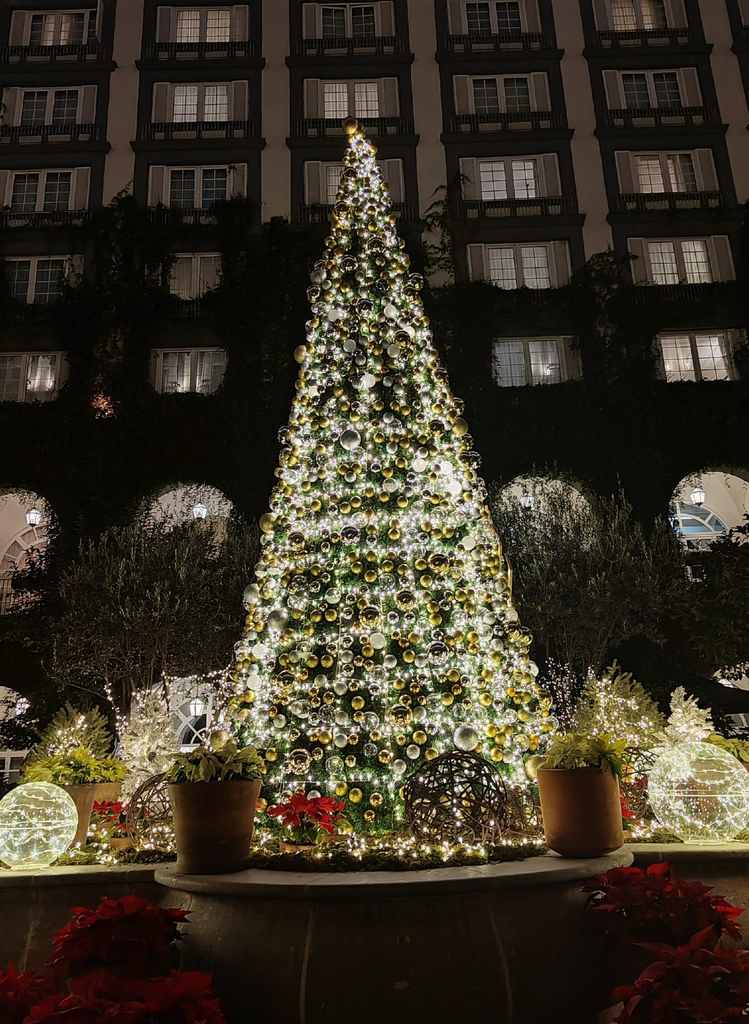 four-seasons-hotel-mexico-city-pista-de-patinaje-arbol-