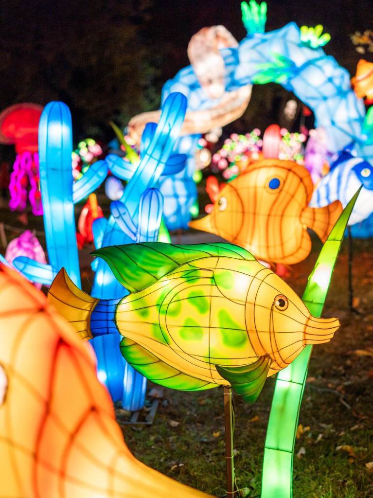 llega-winter-lantern-festival-mx–un-festival-de-linternas-chinas-peces