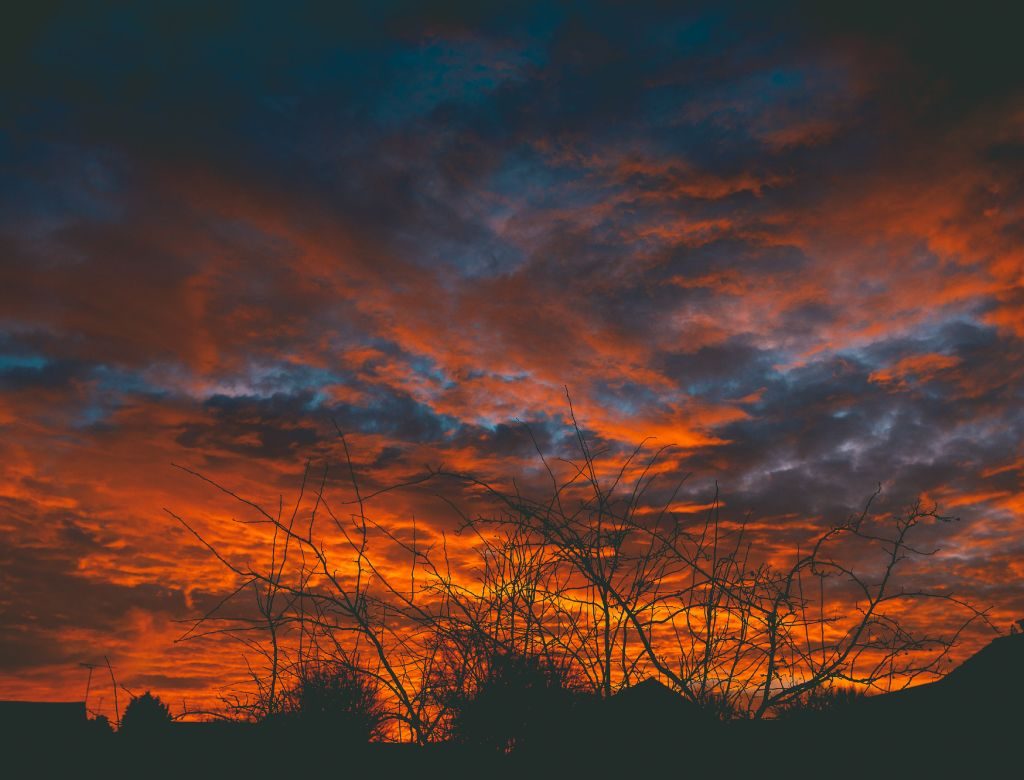 Solsticio de invierno: ¿A qué hora entra en México?