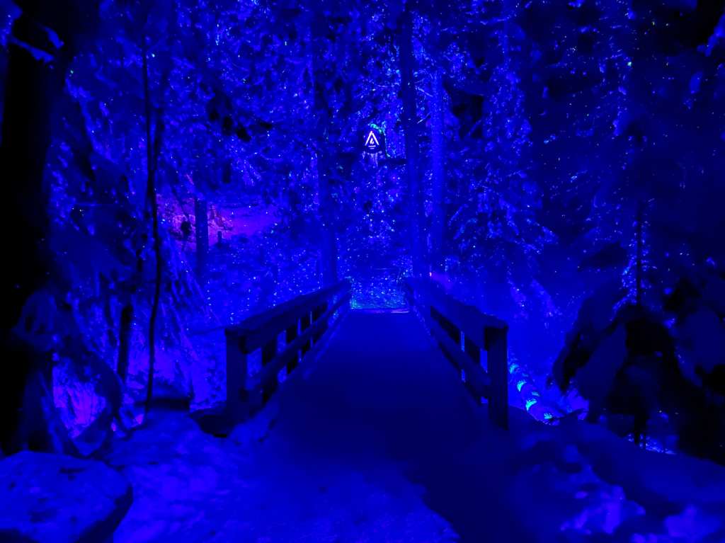 actividades-que-hacer-en-whistler-invierno