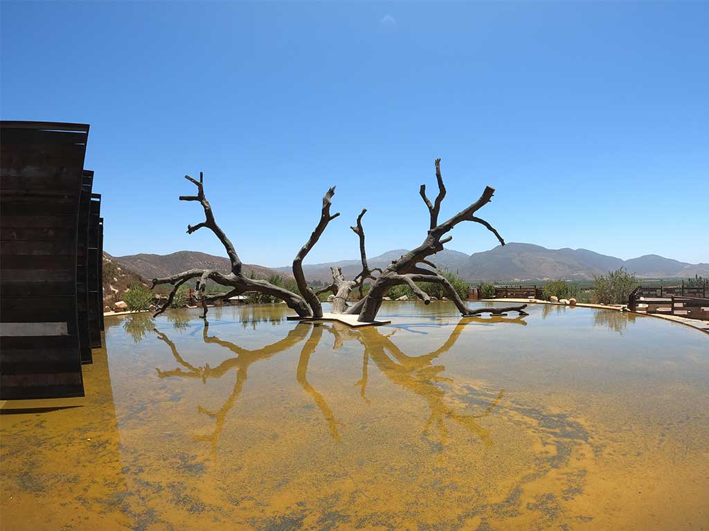 Bruma Vinícola en Ensenada