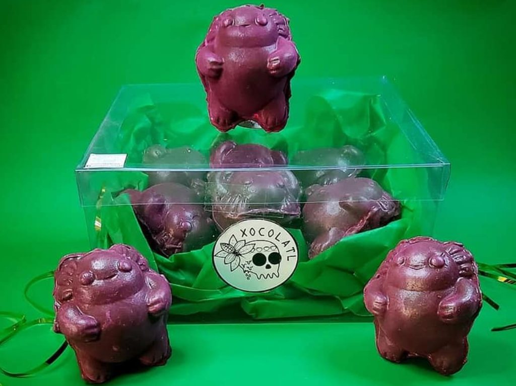 comida-en-forma-de-axolote-ajologorditos