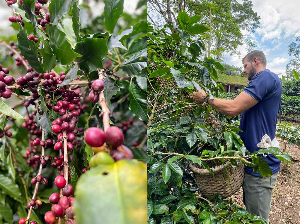 Espíritu Santo Coffee Tour