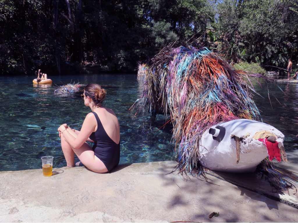 guia-de-supervivencia-para-el-carnaval-bahidora-2023
