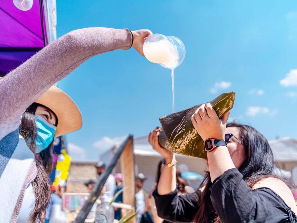 Esto es lo imperdible de la Pulcata Fest 2024 en Teotihuacán