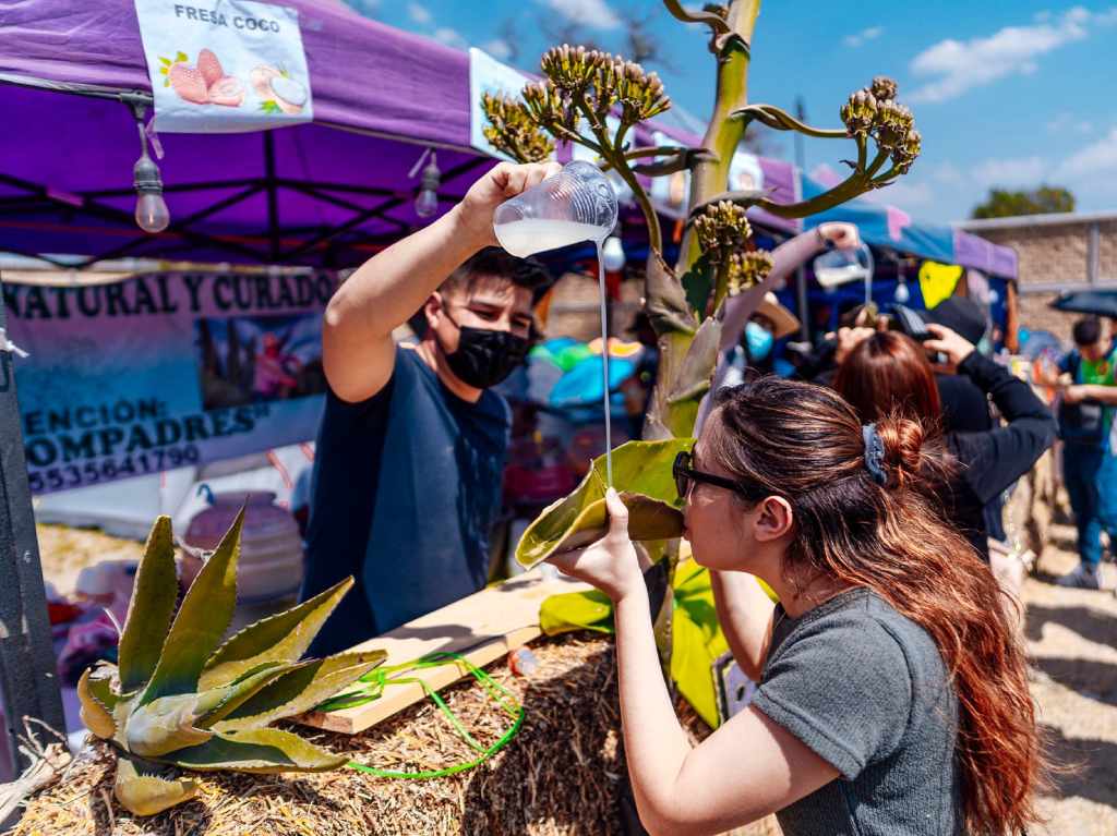 Foto: Pulcata Fest 2023/ FB