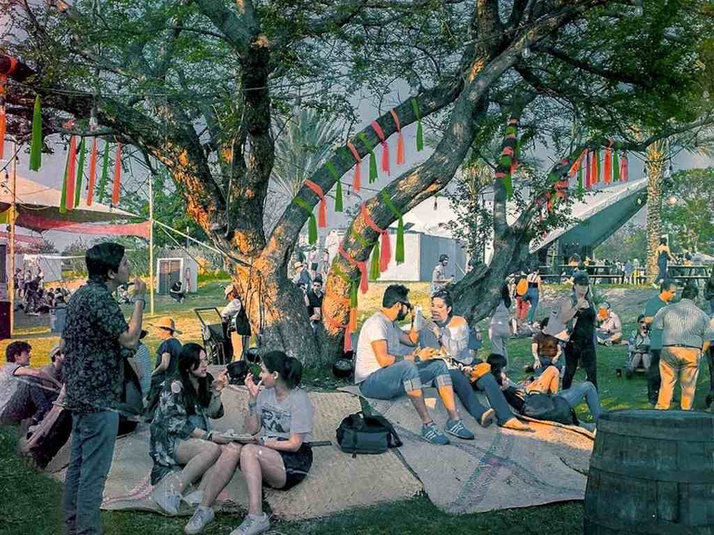 REMIND: festival nostálgico de música y picnic en CDMX