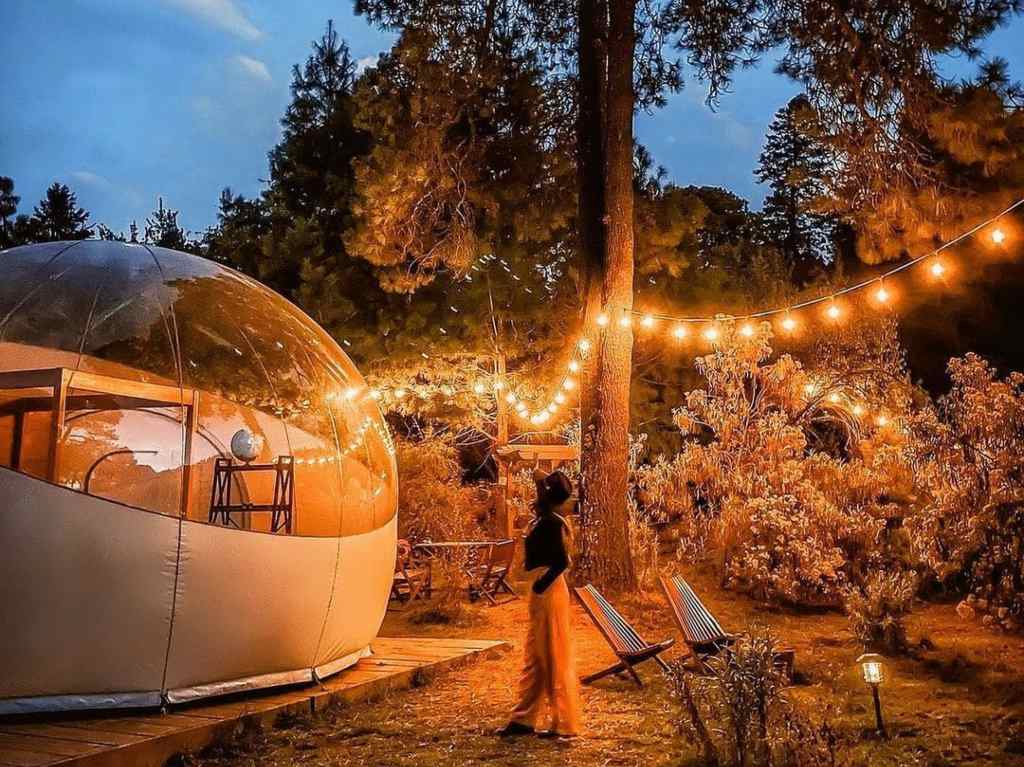 Foto: Alpino Glamping 