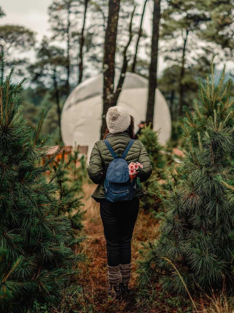 Alpino Glamping: disfruta de la naturaleza junto a tu persona favorita 