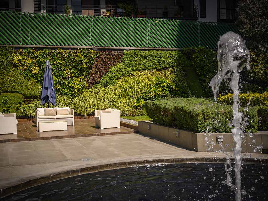 areas-verdes-los-departamentos-pet-friendly-que-necesitabas-estan-en-coyoacan