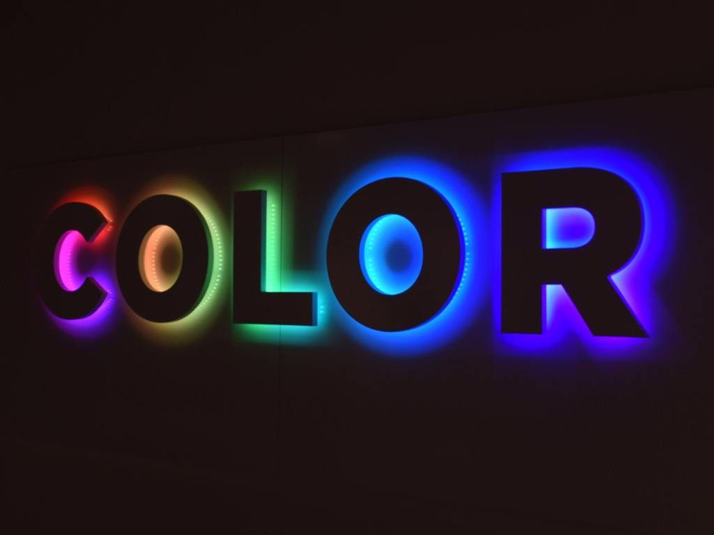 Conoce la exposición Color en Universum