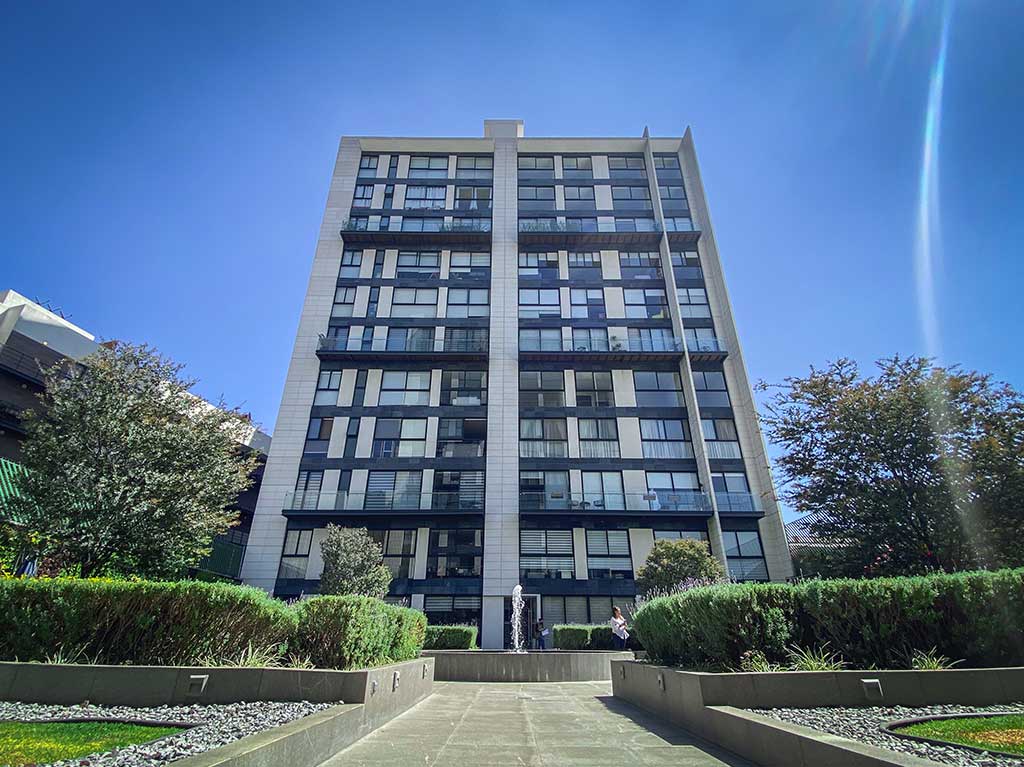 departamentos-auri-desarrollos-los-departamentos-pet-friendly-que-necesitabas-estan-en-coyoacan