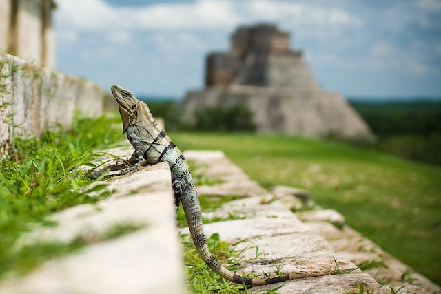 marv-watson-e-zf5s6l-kk-unsplash