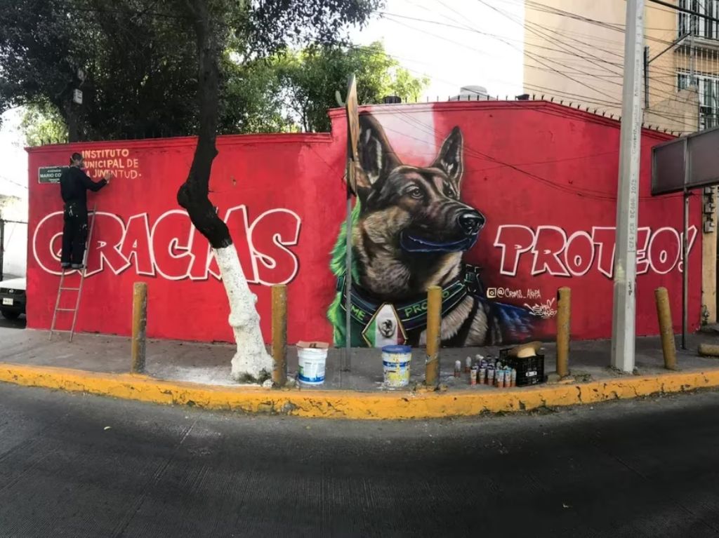 Conoce el mural dedicado a Proteo, el perro rescatista