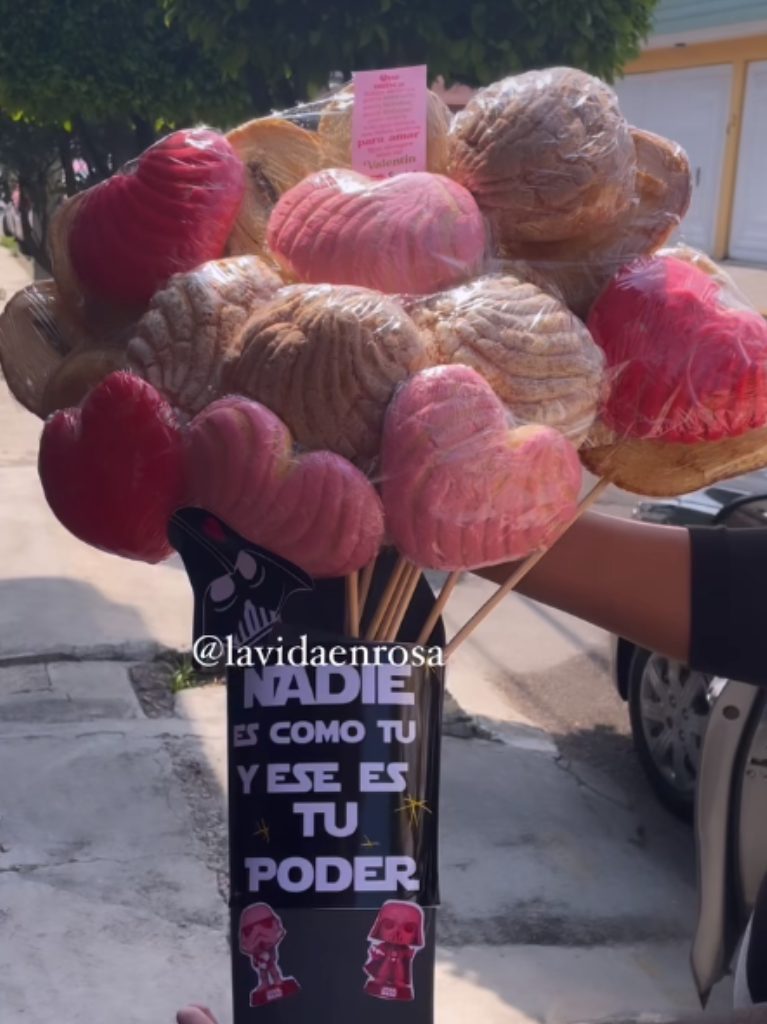 Lo de hoy es regalar un ramo de conchas; en estos lugares los encuentras 2