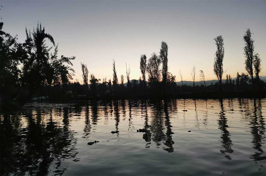 Serenata en Trajinera de Xochimilco para San Valentín 0