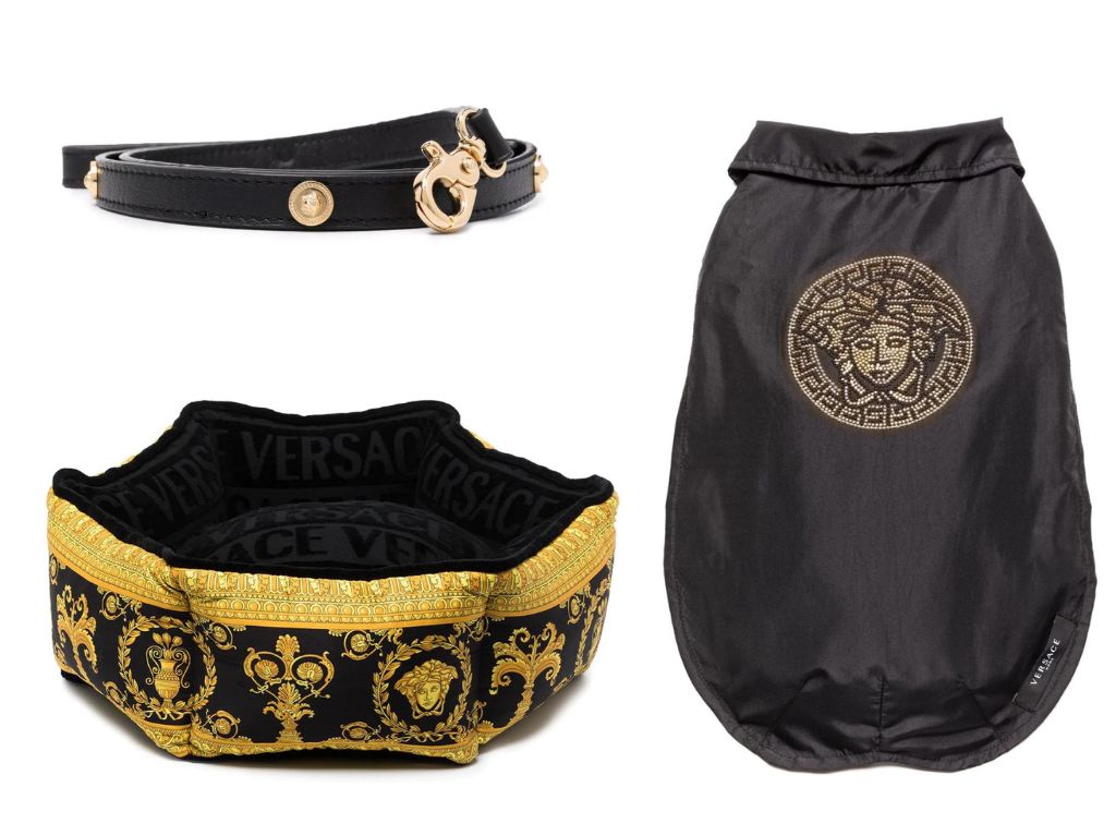 versace