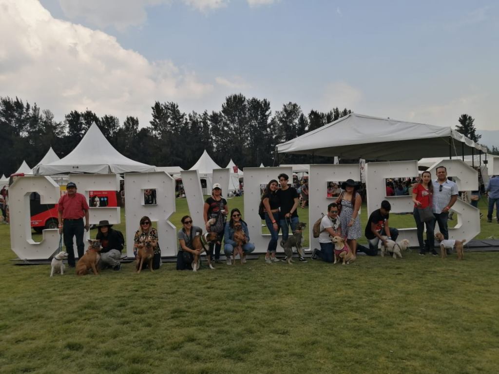 Cervefest en Xochimilco