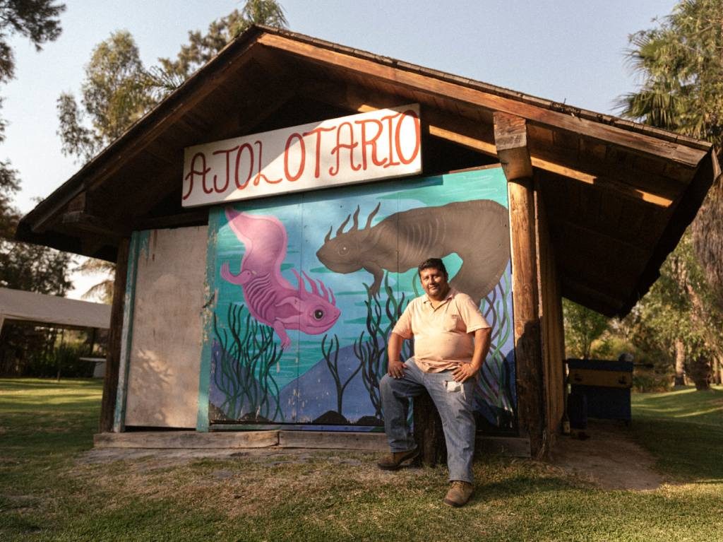  Lánzate al concierto en las trajineras de Xochimilco