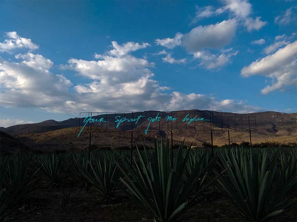 Amarás Experience 2023: Un festival para conocer la riqueza del mezcal