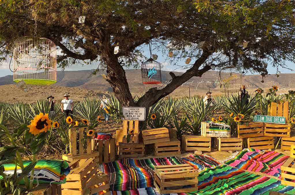 Amarás Experience 2023: Un festival para conocer la riqueza del mezcal 5