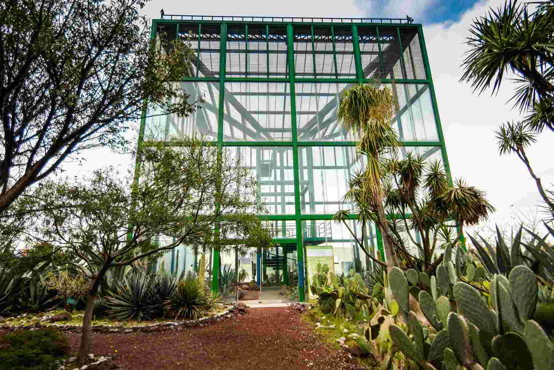 ¿Te gustan las plantas? Descubre estos Jardines botánicos en la CDMX 1