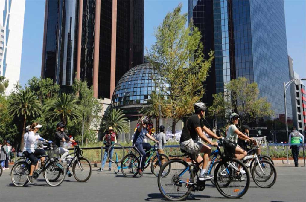 ¡Es un hecho! Retirarán el ahuehuete de Reforma y lo sustituirán por otro 0