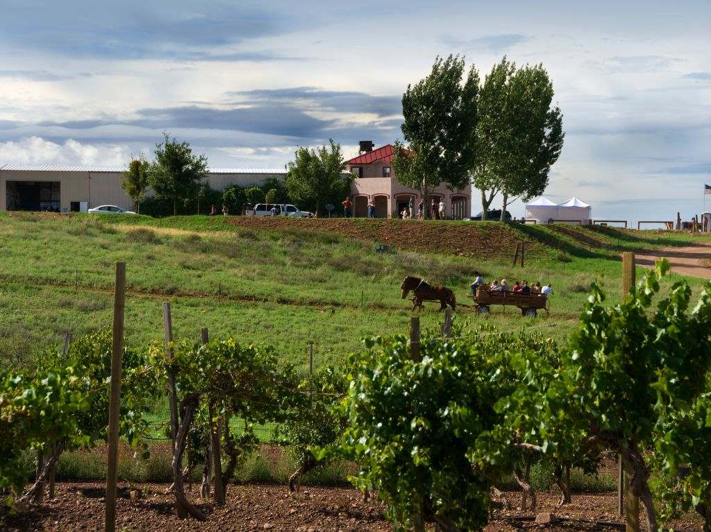 Visita Arizona y su gran vocación gastronómica de vinos 0