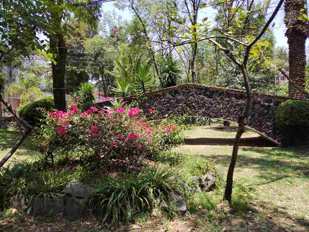 Chimalistac Puente Del Carmen.