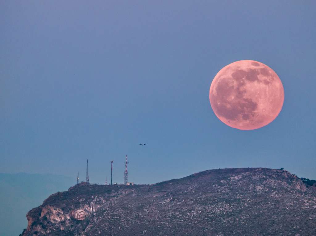 Luna Rosa: cuando ver la luna llena de abril 2023