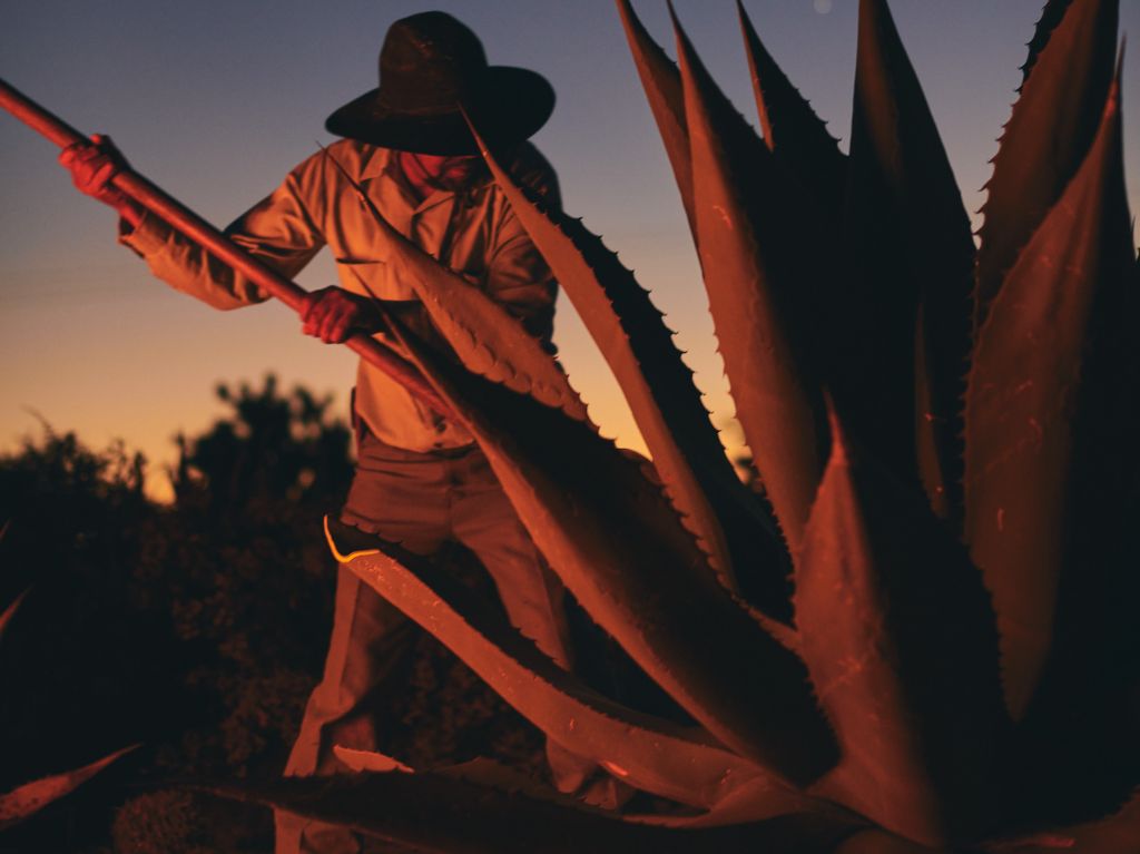 El Mezcal Don Ramón, el mejor para disfrutar de la primavera