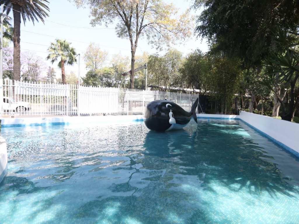 Ya abrio el Parque Acuático La Ballenita y es gratis