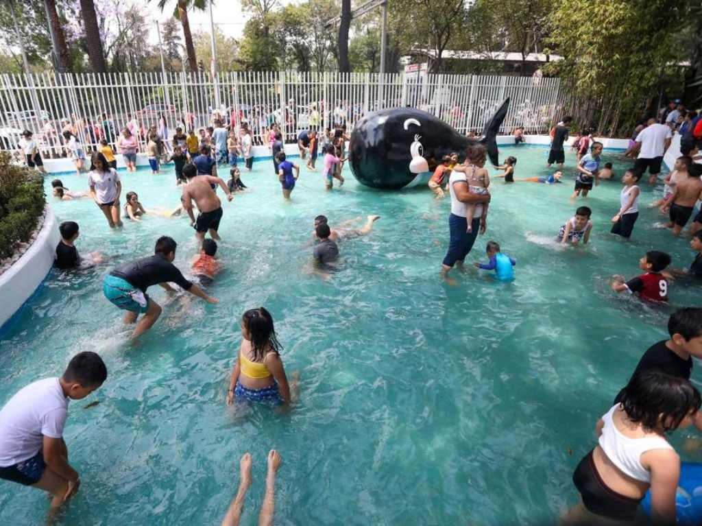 Parque Acuático La Ballenita-chapotedero