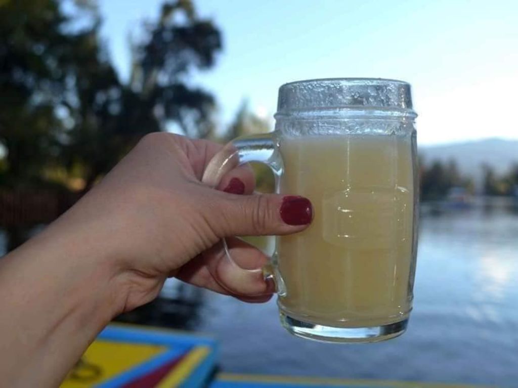 Trajineras de Xochimilco-tarro de pulque