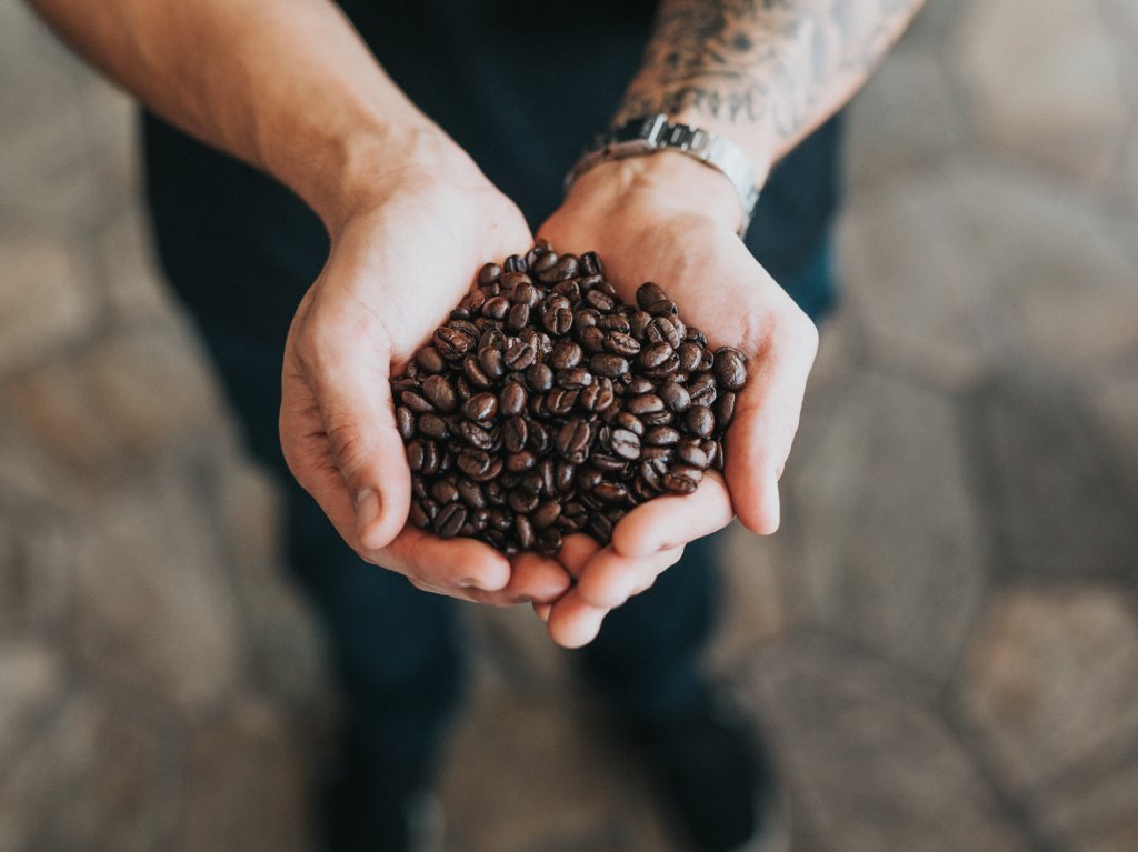 Granos de café en la Feria del Café, la Miel y el Cacao